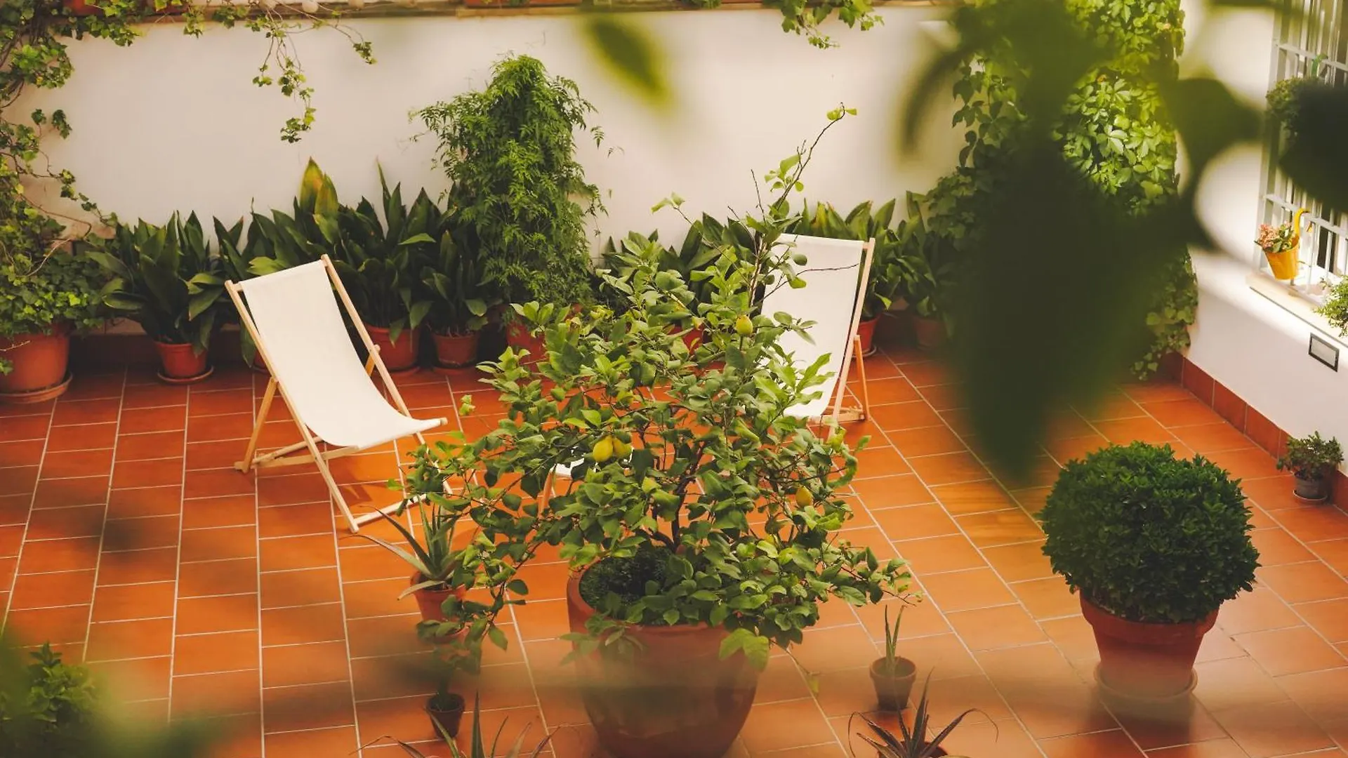 Apartamentos Entrerios Cazorla Spain